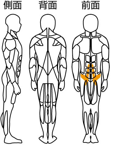 膝上げ訓トレーニング部位