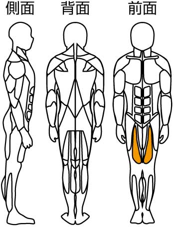 蹴り上げ訓トレーニング部位
